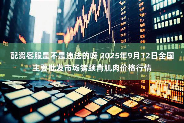 配资客服是不是违法的呀 2025年9月12日全国主要批发市场猪颈背肌肉价格行情