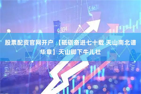 股票配资官网开户 【砥砺奋进七十载 天山南北谱华章】天山脚下牛儿壮