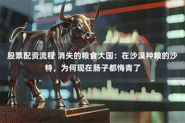 股票配资流程 消失的粮食大国：在沙漠种粮的沙特，为何现在肠子都悔青了