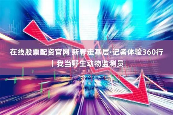 在线股票配资官网 新春走基层·记者体验360行丨我当野生动物监测员