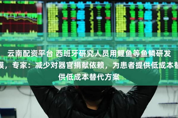 云南配资平台 西班牙研究人员用鲤鱼等鱼鳞研发人工角膜,专家:减少对器官捐献依赖,为患者提供低成本替代方案