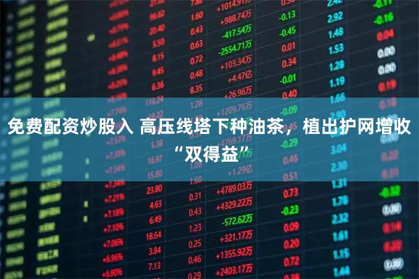 免费配资炒股入 高压线塔下种油茶，植出护网增收“双得益”