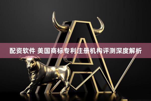 配资软件 美国商标专利注册机构评测深度解析