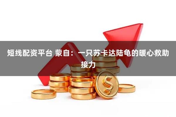 短线配资平台 蒙自：一只苏卡达陆龟的暖心救助接力
