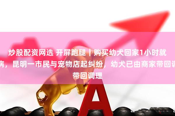 炒股配资网选 开屏跑腿｜购买幼犬回家1小时就生病，昆明一市民与宠物店起纠纷，幼犬已由商家带回调理
